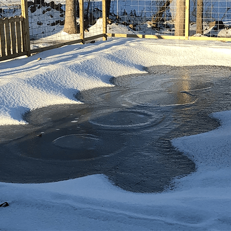 Can an Automatic Pool Cover Be Used as a Winter Cover?