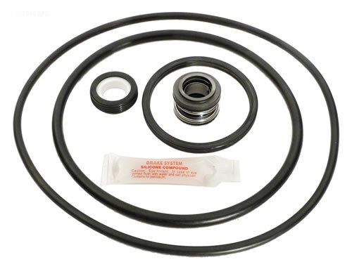 Pentair/Pac Fab Pinnacle Pump Tune Up Kit (GOKIT24)